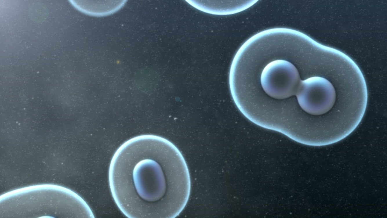 cell-division-loop-background-UBEMGKV